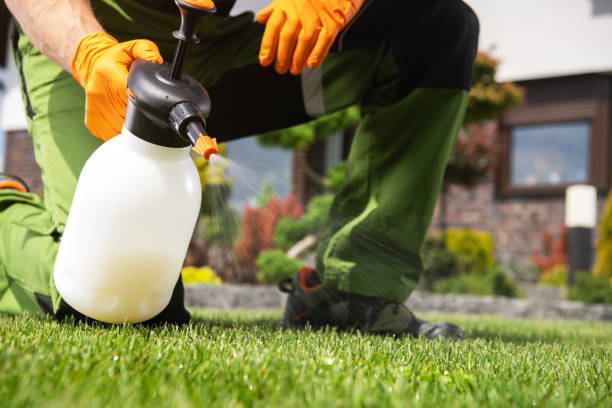 Trusted Oak Creek, WI Pest Control Experts