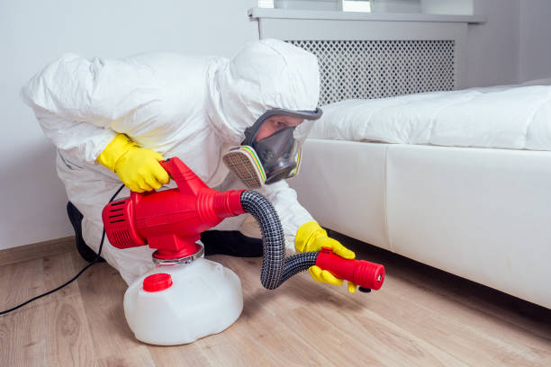 Best Termite Control Services  in Oak Creek, WI