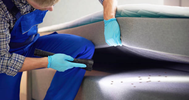 Best Mosquito Control Services  in Oak Creek, WI