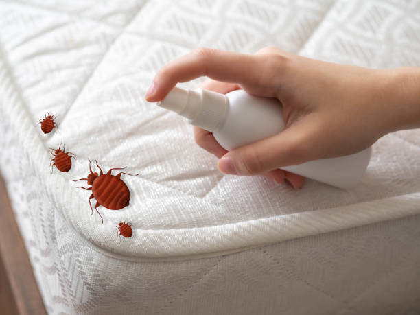 Professional Pest Control in Oak Creek, WI