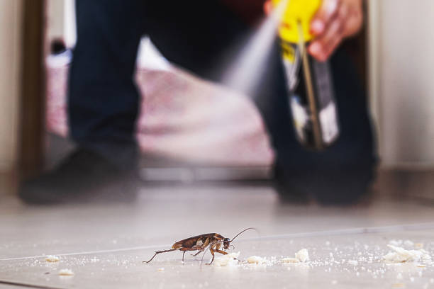 Best Exterminator Services  in Oak Creek, WI